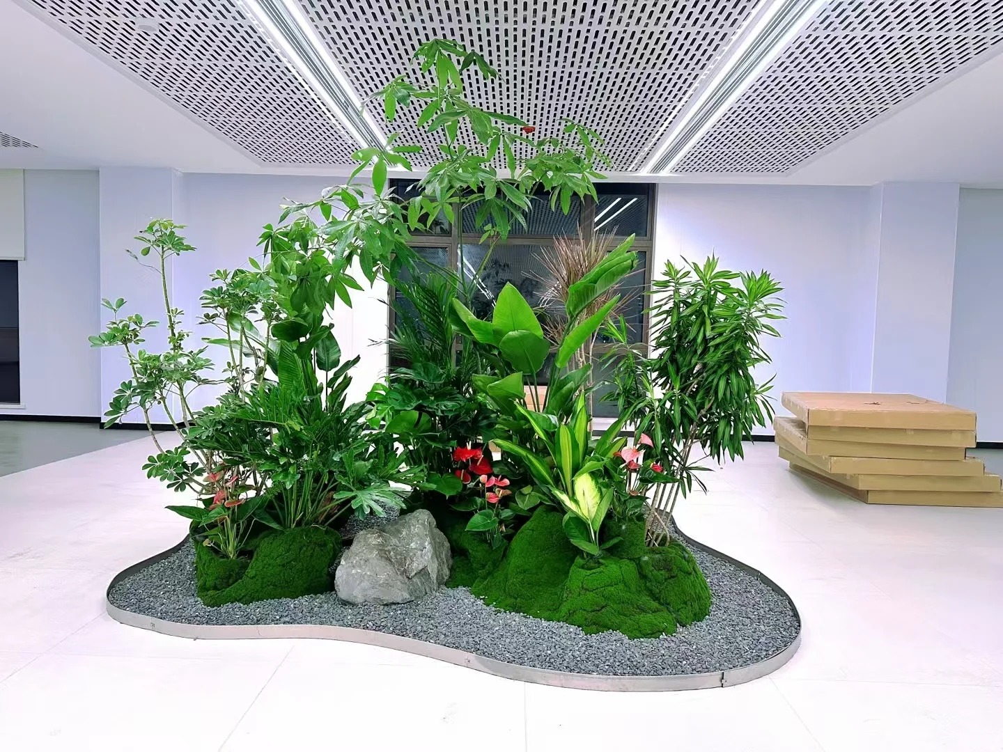 镇海绿植租赁设备-慈溪花木租摆新闻-镇海室内绿植租赁-镇海花卉租赁设备